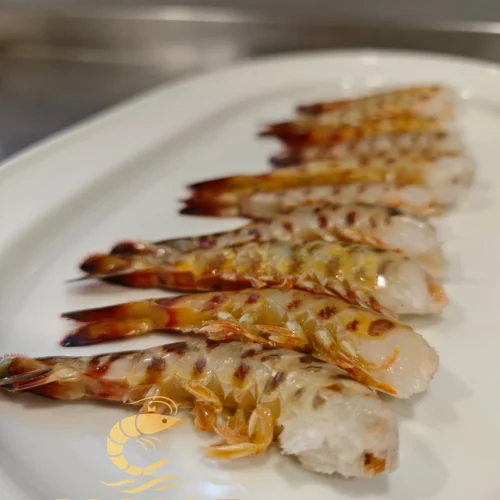 Vista lateral de cola de langostino tigre fresca descongelada, dispuesta en bandeja blanca, mostrando su frescura y calidad. imagen con el logo de Almar y el lema 'Sabor salvaje, alma atlántica' en la parte inferior.