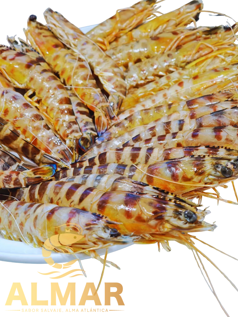 Langostino Tigre